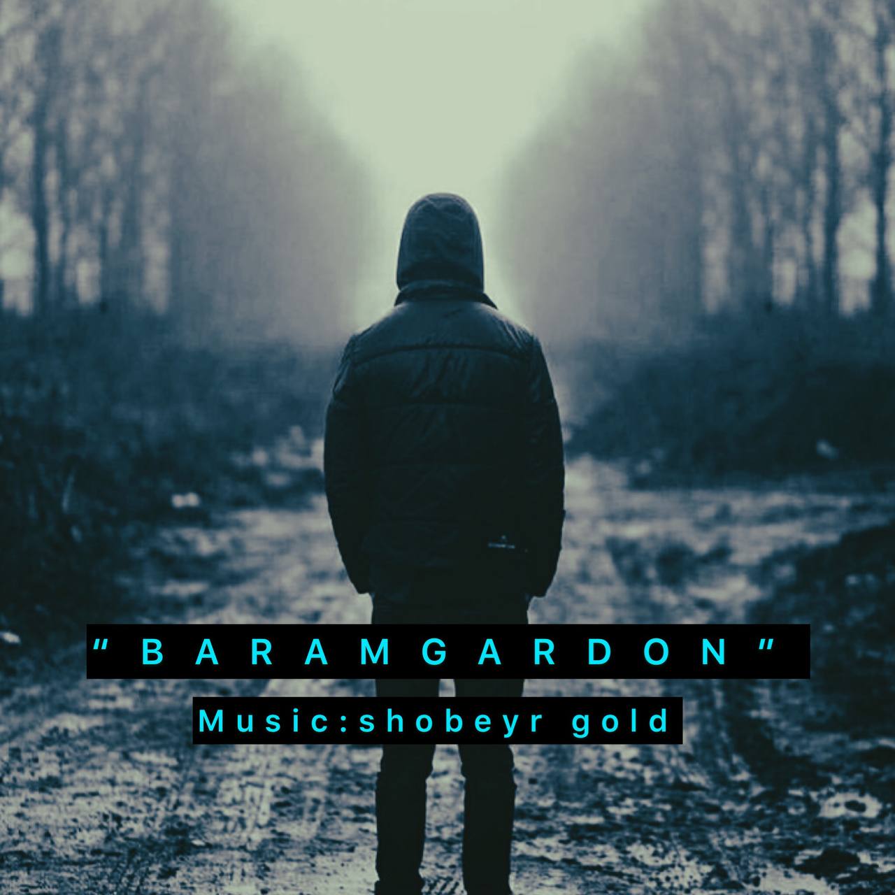 شبیر گلد برم گردون